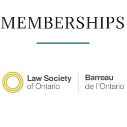 WhatsApp Image 2024-10-17 at 5.06.28 AM